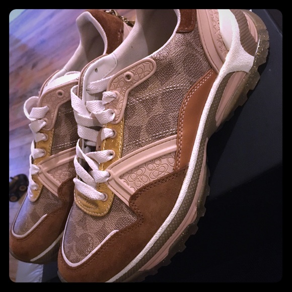 coach dad sneakers